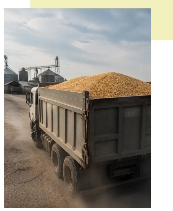 Перевозка сельхозпродукции навалом в Сальск по цене от 3050 р. | Агросервис-Слс